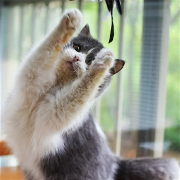 Funny cat stick with 14cm wooden handle, 66cm flexible rod, 80cm total length, fur head, feather and bell
