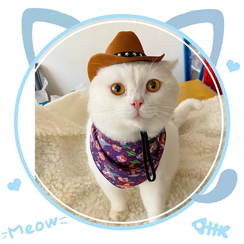 British-style cowboy hat for cats in non-woven fabric with decorative trim options