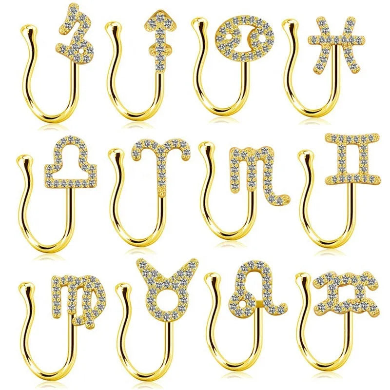 Copper geometric nose ring with electroplated K9 finish in Platinum or Gold, shown in twelve zodiac star sign styles.