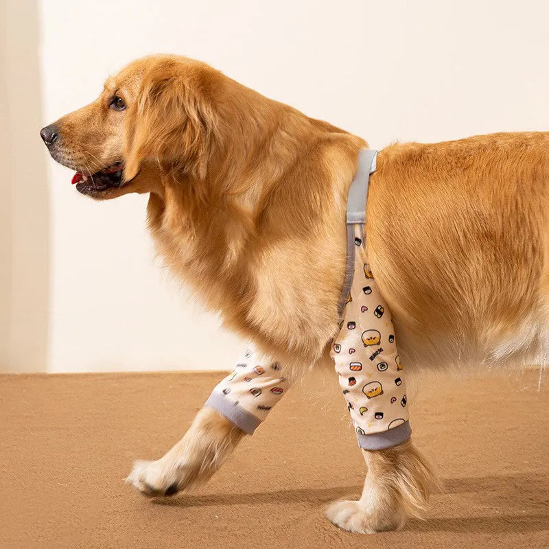 Adjustable dog knee protector with padded elbow patch and matching scarf in blue colour