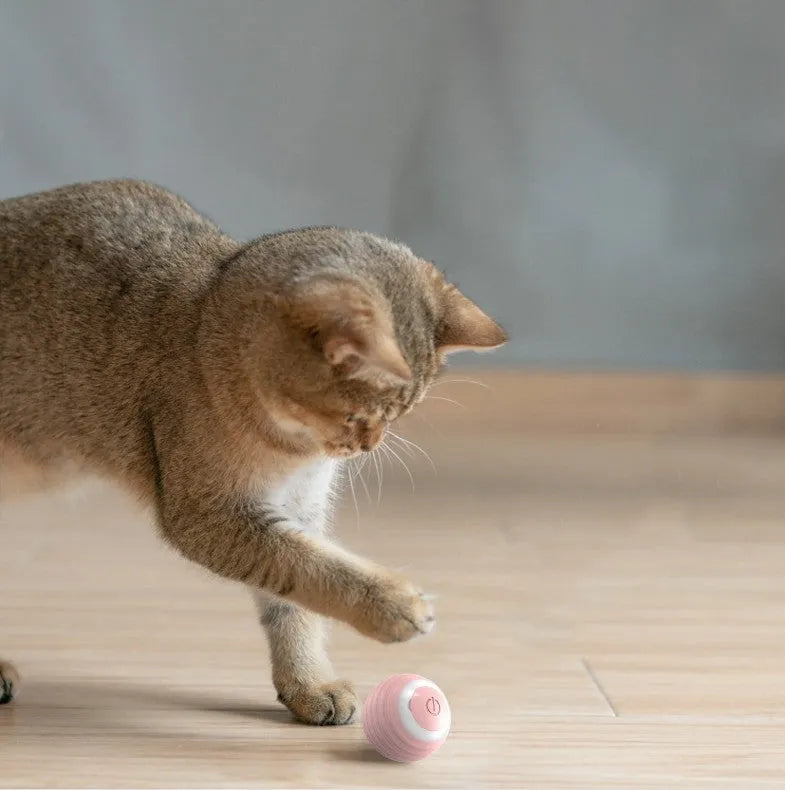 Blue and pink automatic self-moving silicone cat toy ball on a floor.
