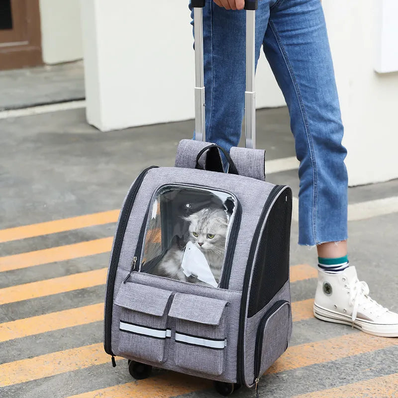 Foldable Oxford cloth pet cat bag with double shoulder straps and pull rod in grey, blue, purple, or khaki.