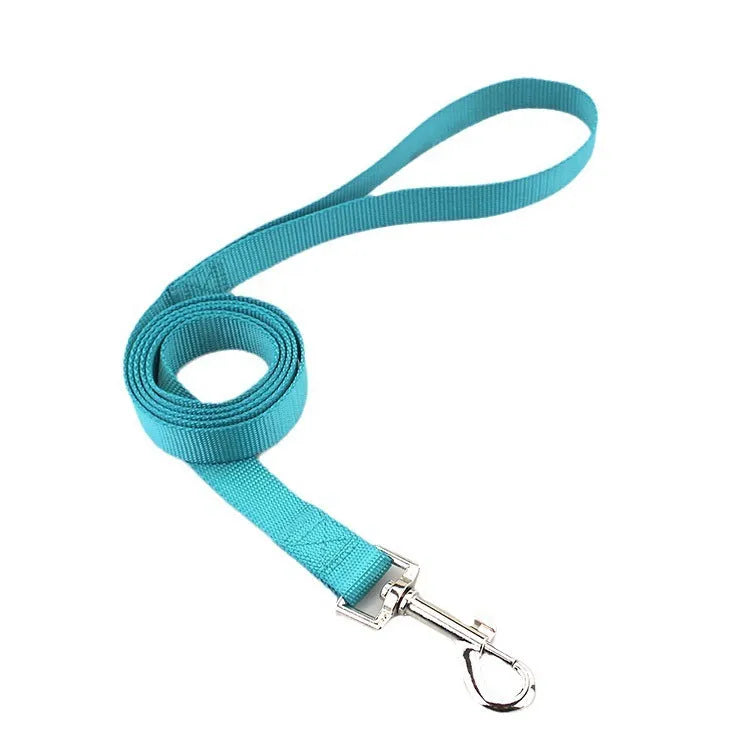 Solid colour polyester dog lead with hand holding loop, shown in blue, red, and black on a white background.