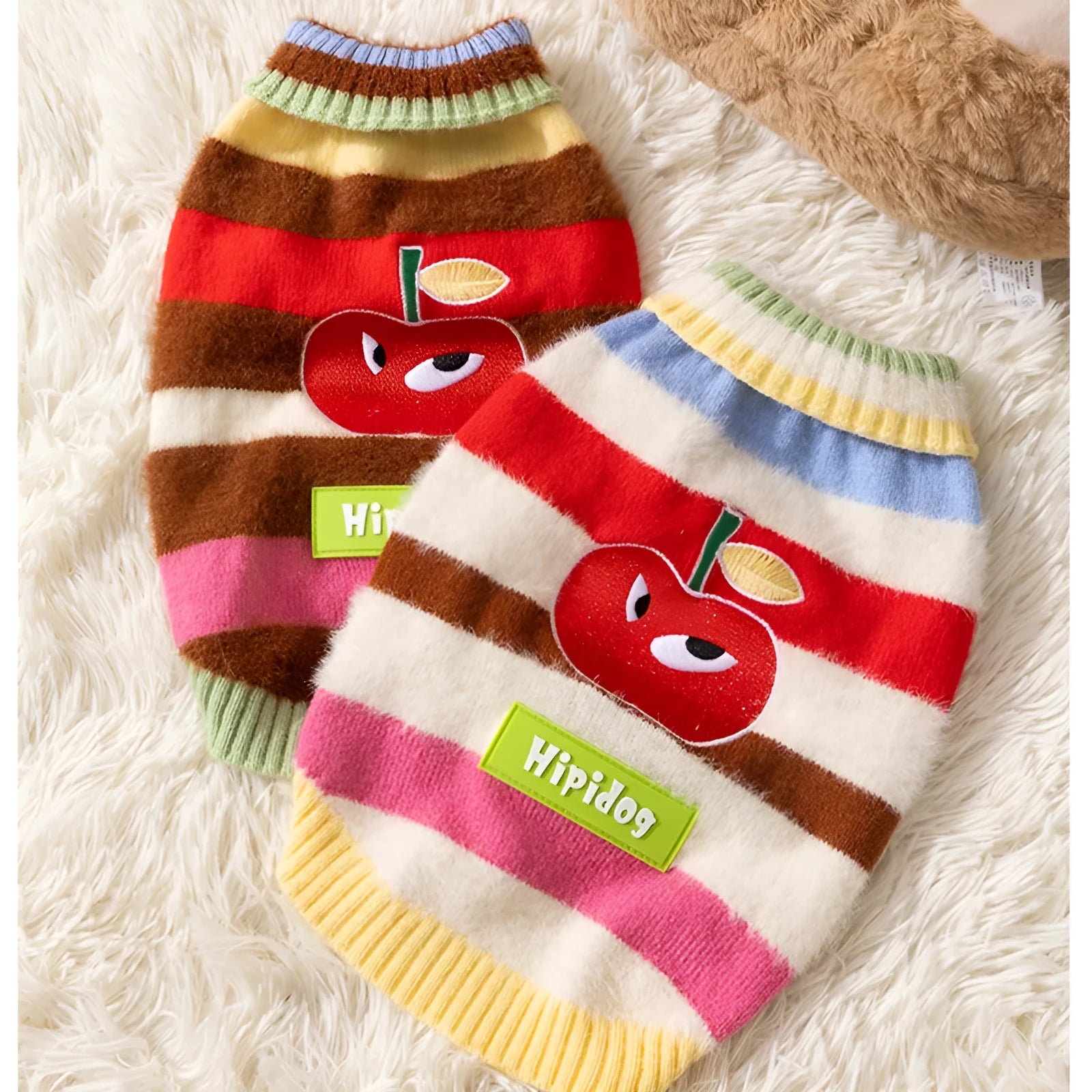 Corgi dog wearing a rainbow apple striped knitted pullover sweater in brown, standing on grass