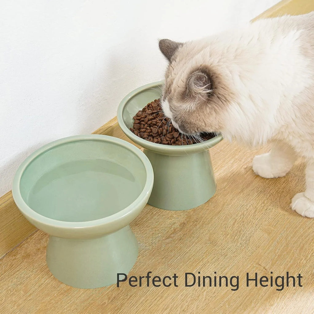 Extra wide elevated ceramic cat bowl in blue with shallow 16cm dish design