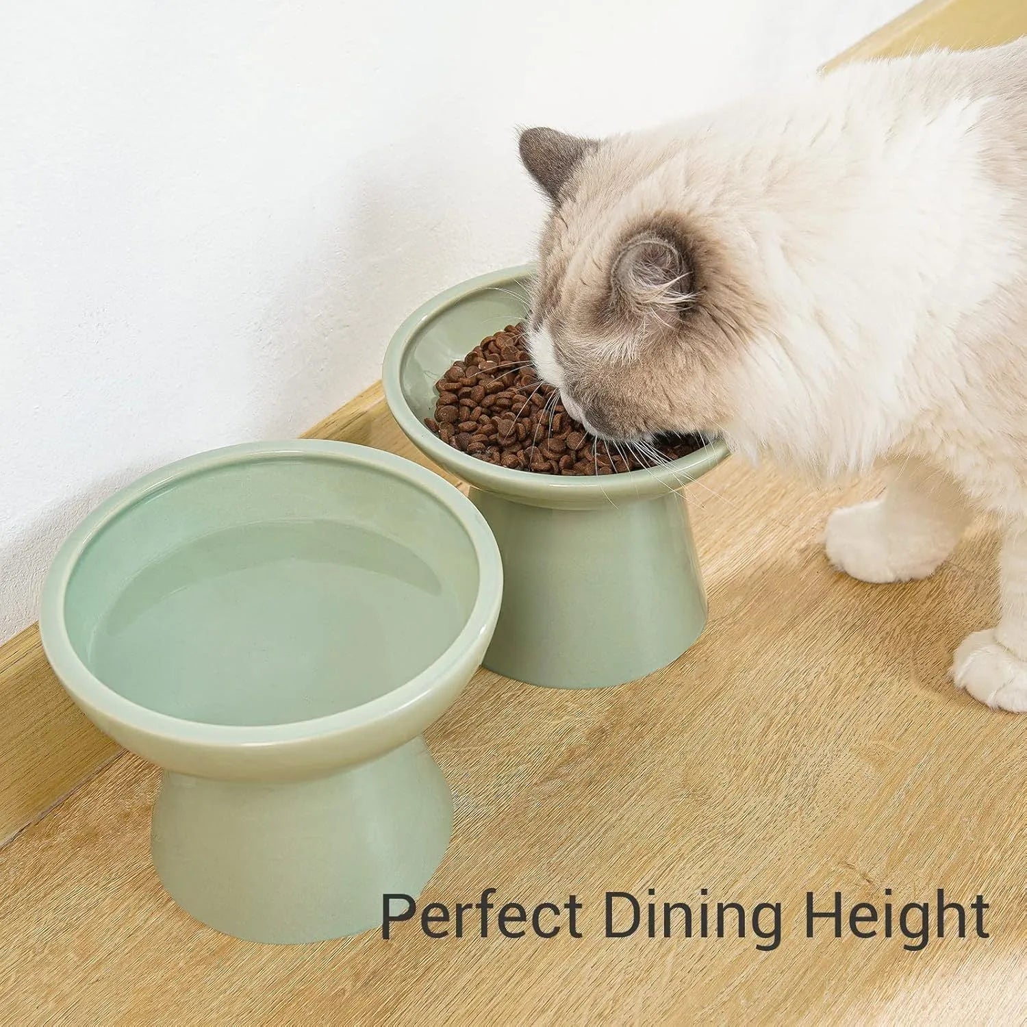 Extra wide elevated ceramic cat bowl in blue with shallow 16cm dish design