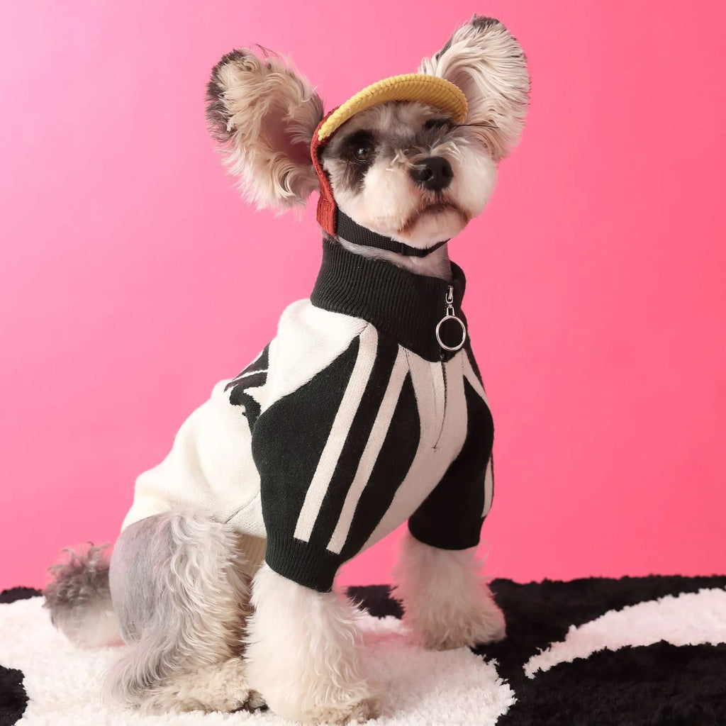 Dog wool cardigan sweater for male puppies in dark green or red colour without accessories