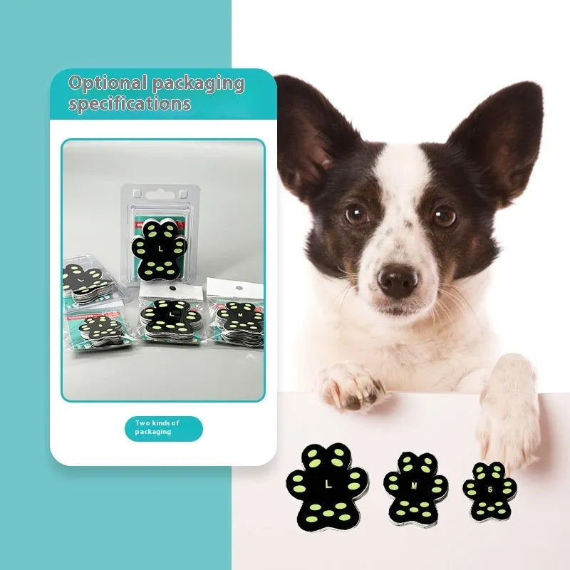 Pack of eight soft silicone invisible claw protection pads for dogs, shown in small or medium size.
