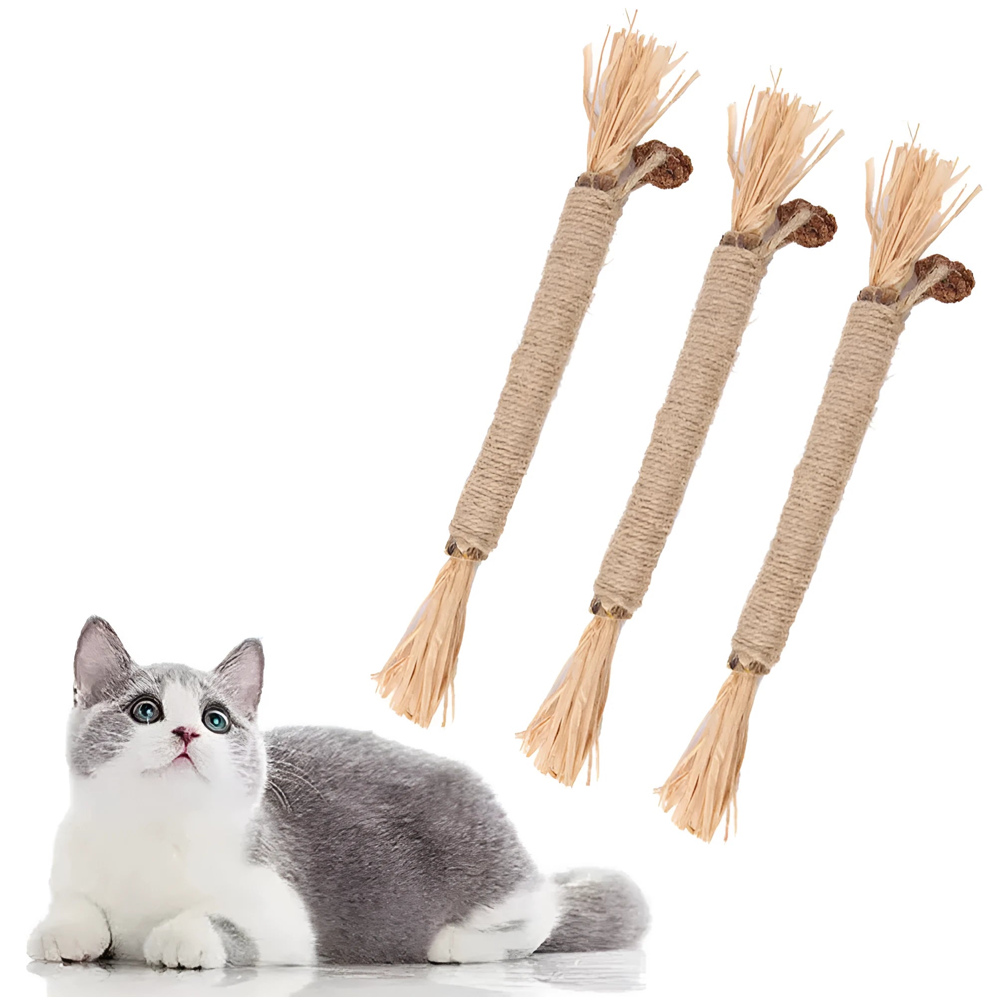 Pack of three natural silvervine chew sticks for cats with sisal rope and raffia texture