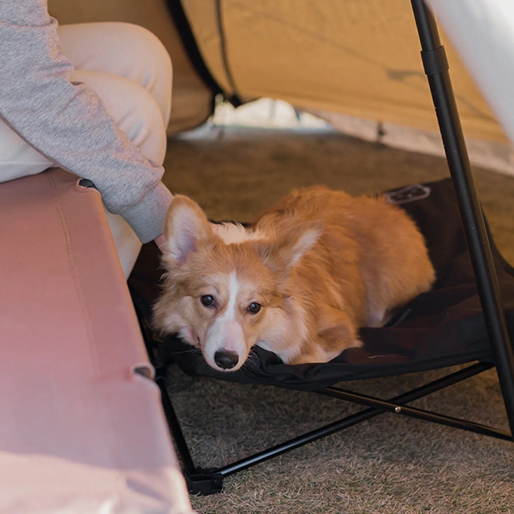 Outdoor pet folding bed with aluminium alloy X-frame and black 600D Oxford cloth sleeping surface