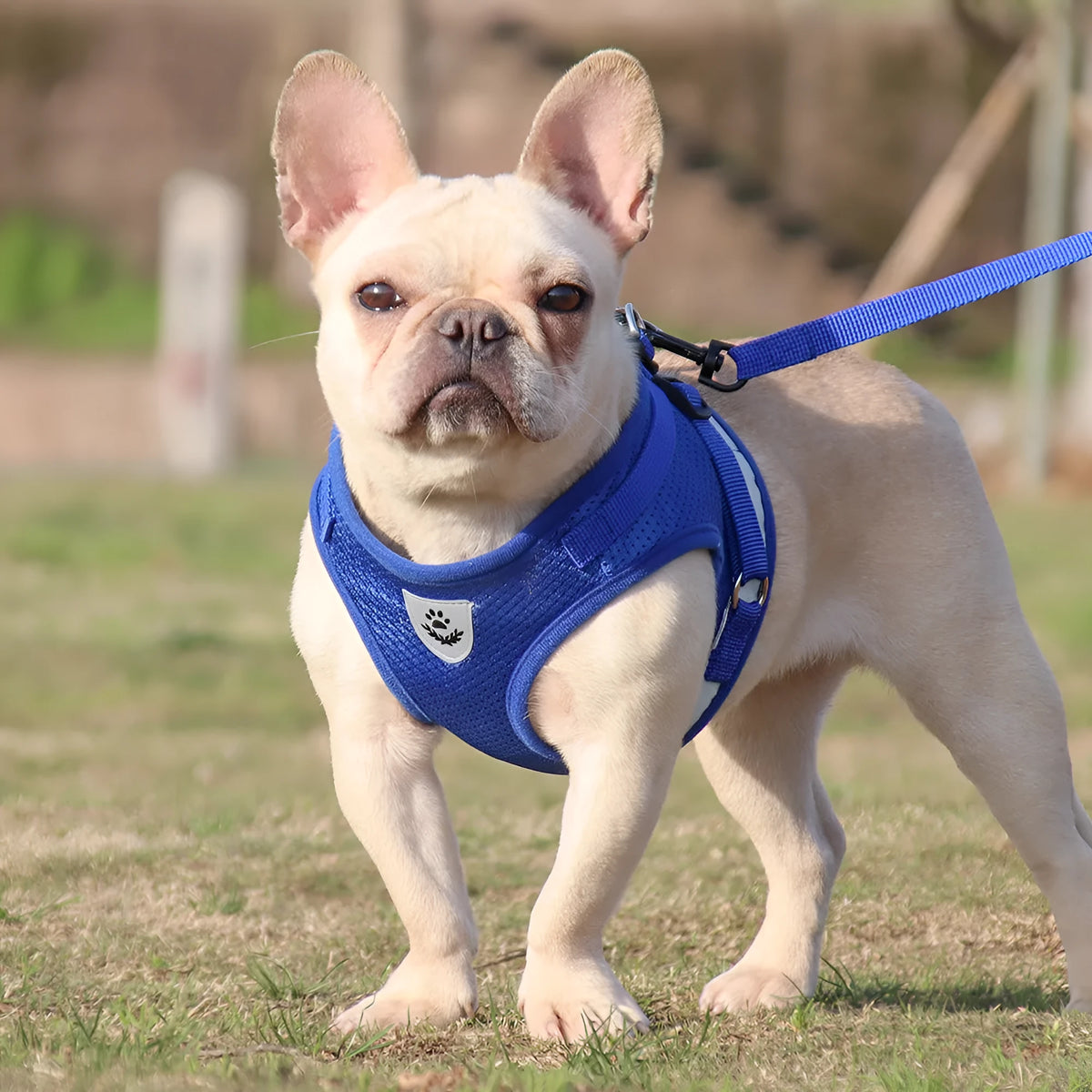 Breathable polyester dog chest strap harness in grey plaid with reflective strip, five sizes available for small to large dogs