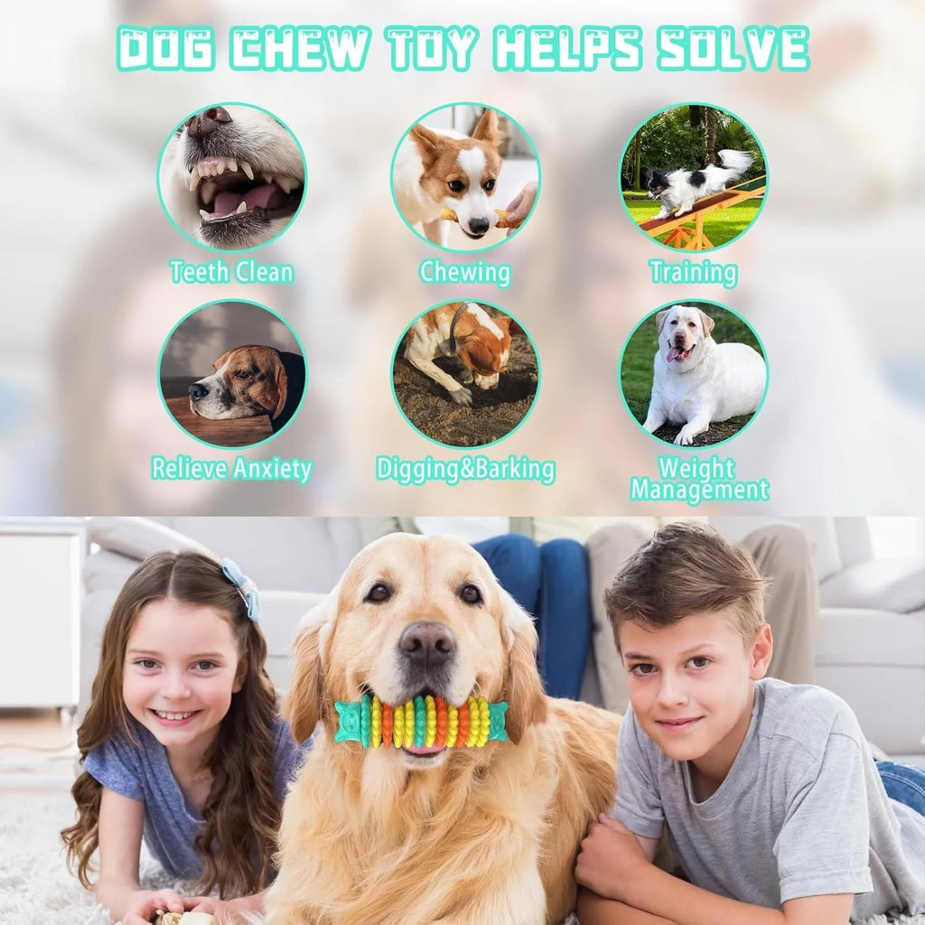 Blue rubber caterpillar-shaped chew toy for dogs on a plain background.