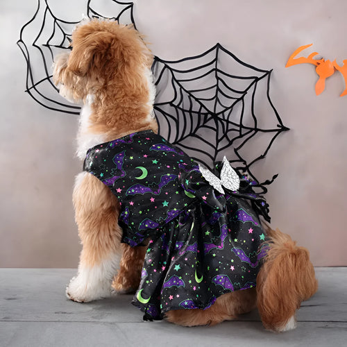 Bright orange pumpkin angel wings dog costume on a small dog, showing back wing design.