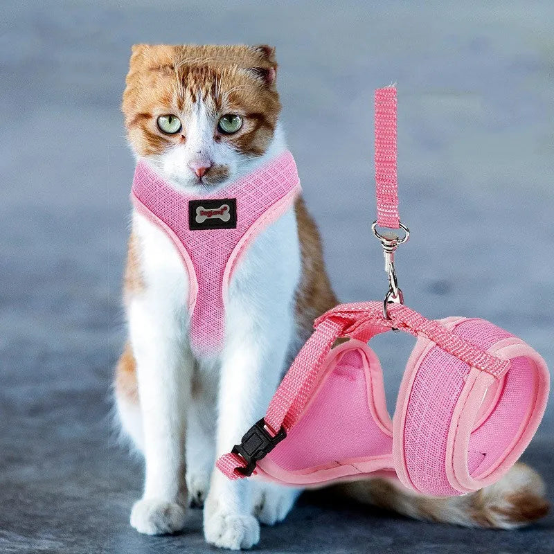 Anti-skid mesh cat harness with adjustable neck and chest, 120cm leash, black or pink