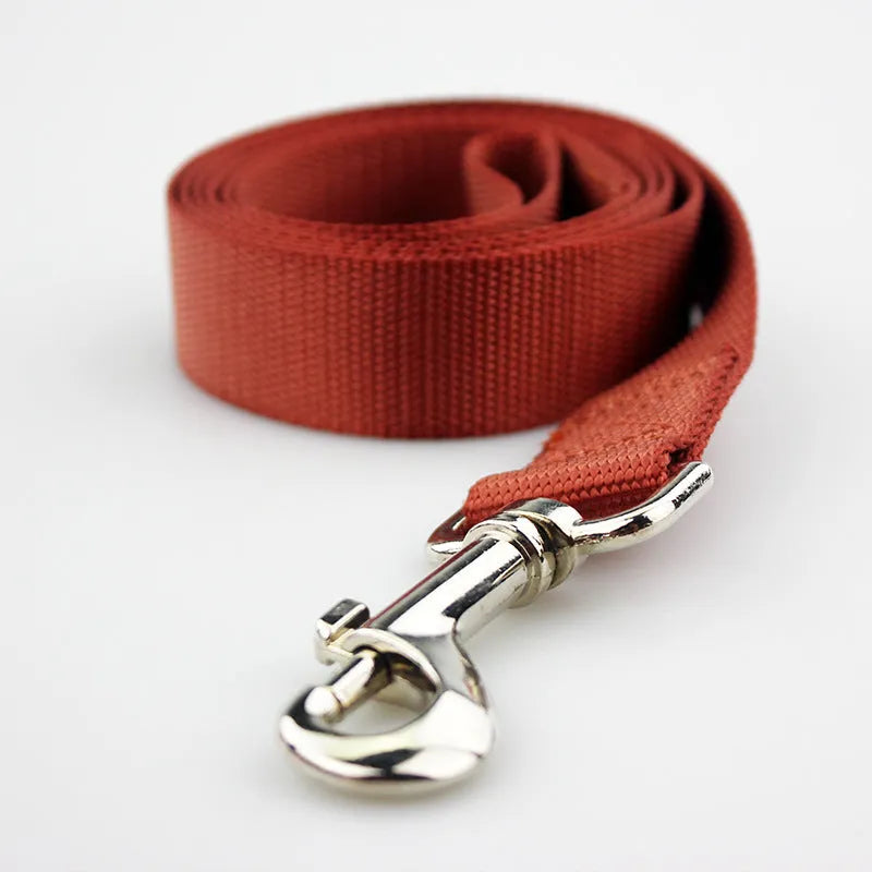 Solid colour polyester dog tug-of-war rope toy shown in blue, with hand loops, for interactive play with pets.