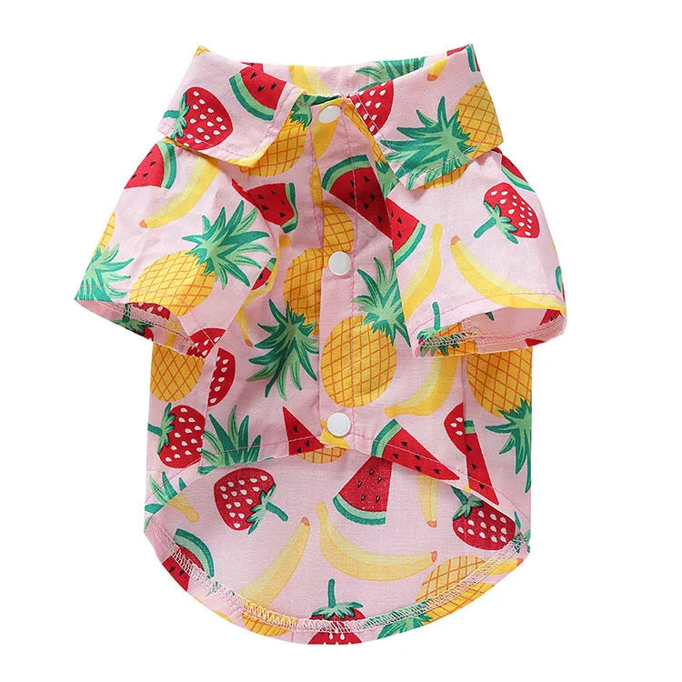 Fruit-themed casual polyester dog clothes in six colours on a small dog, size S to XL available