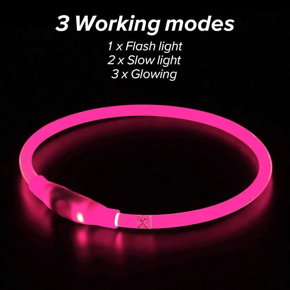 Blue USB rechargeable LED dog collar glowing in the dark on a dog's neck.