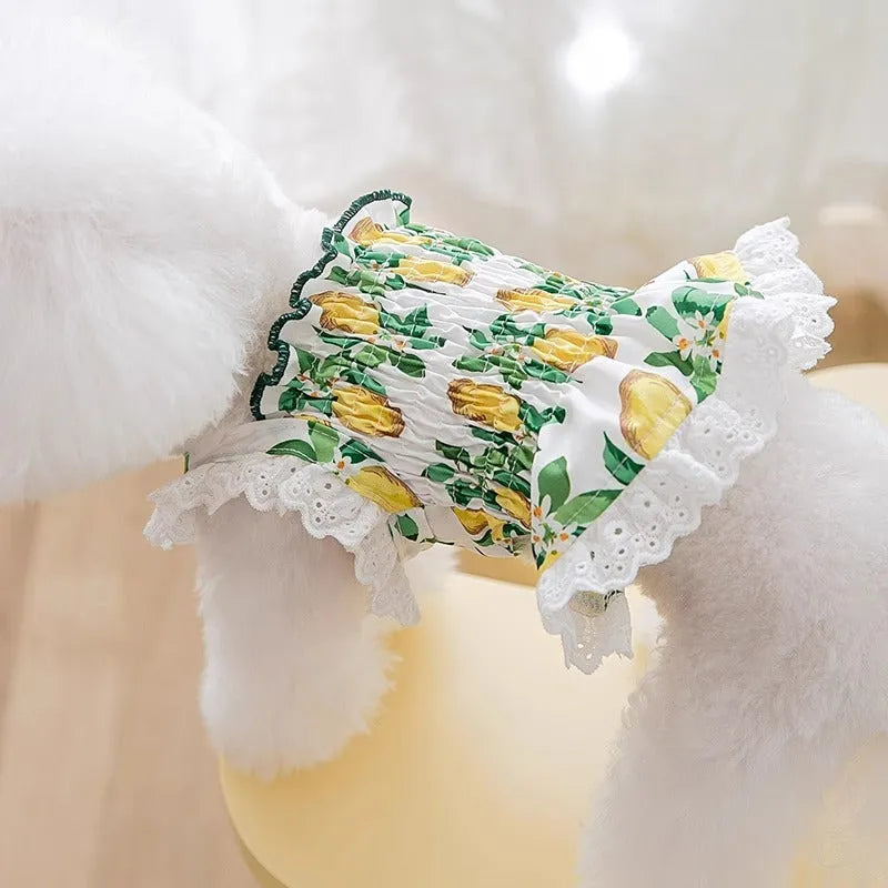 Rock yellow lemon polyester dog skirt dress with thin straps and princess style design