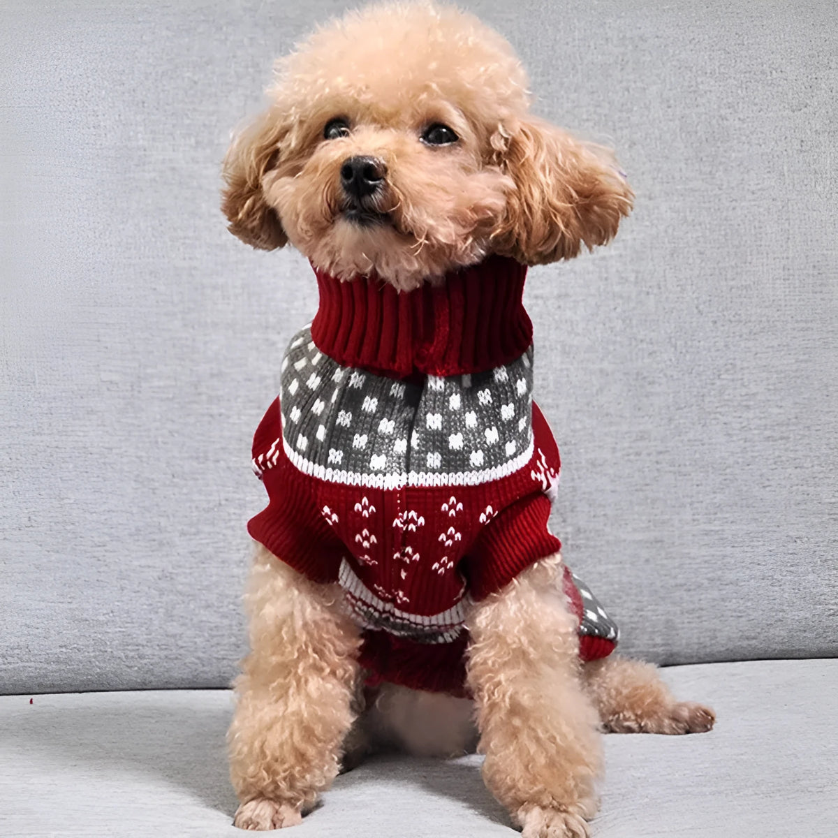 Christmas Maple Snowflake turtleneck knitted wool sweater for pet dogs, printed leaf pattern, casual style