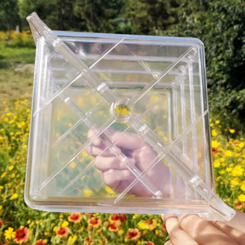 Square plastic watermelon growth mould for creating cube-shaped fruit in agricultural settings