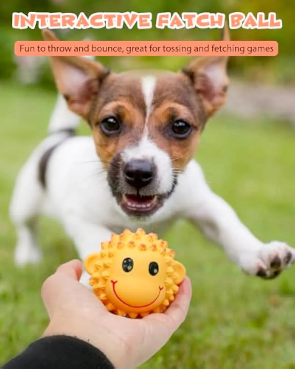 Orange and yellow spiky latex animal dog toys with squeakers for dental care and fetch play.