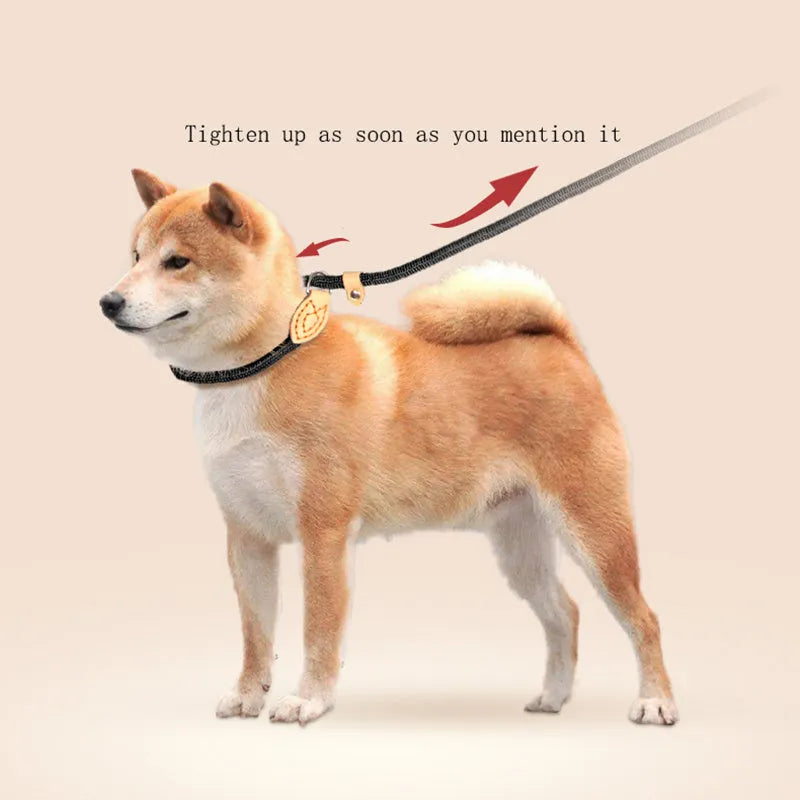 Specialised blast race dog training leash with automatic tightening rope collar in multiple colour options.
