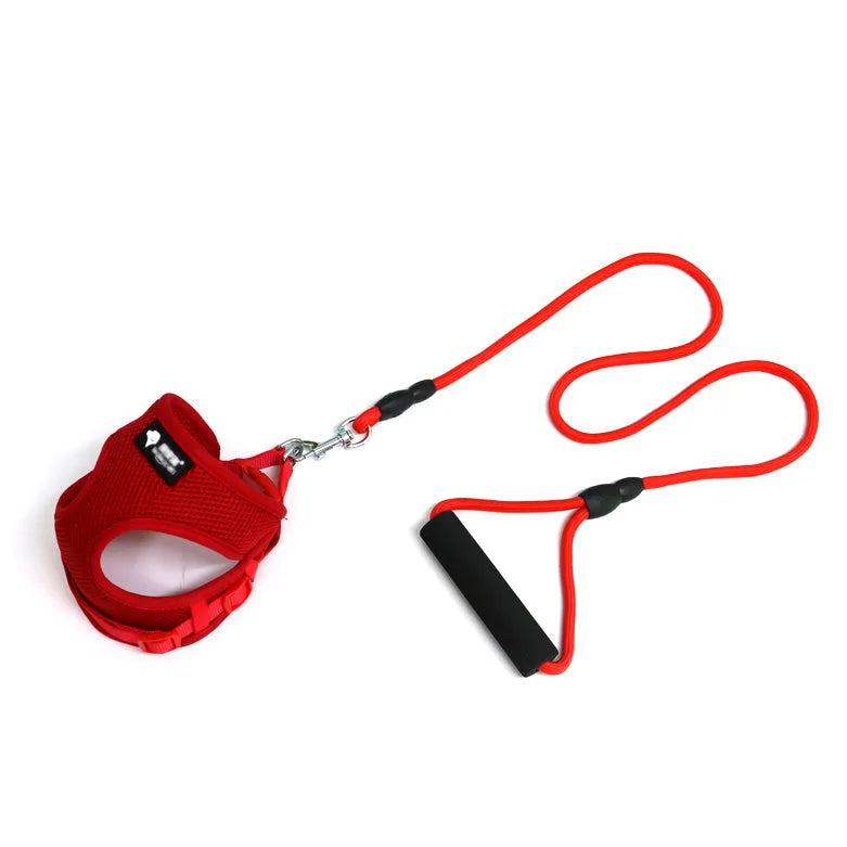 Blue dog leash and collar set with a round rope strap and foam-padded handle.