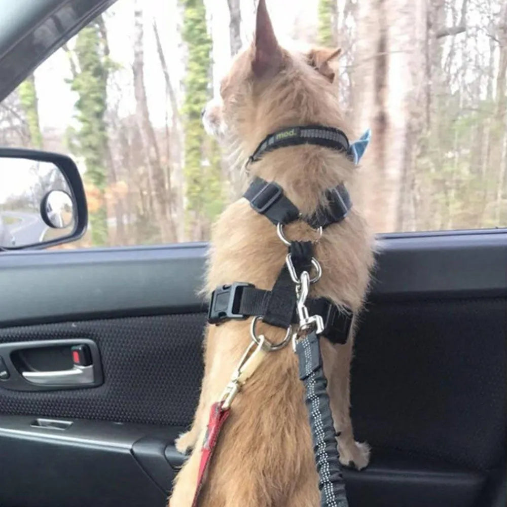 Black adjustable dog seat belt with reflective safety rope attached to car seat belt buckle, polyester webbing and alloy joint visible