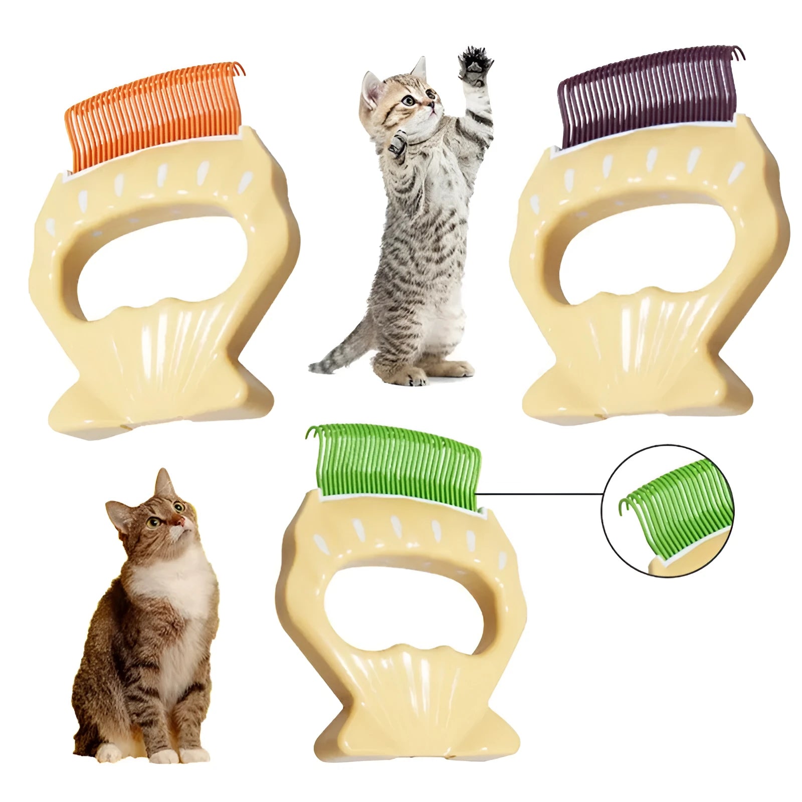 Shell-shaped pet grooming brush with bent wire bristles in green, orange and purple colour options