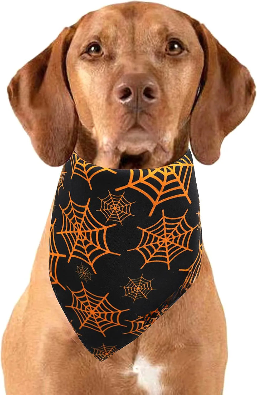 Reversible Halloween dog bandana with pumpkin and spider web patterns in black and orange