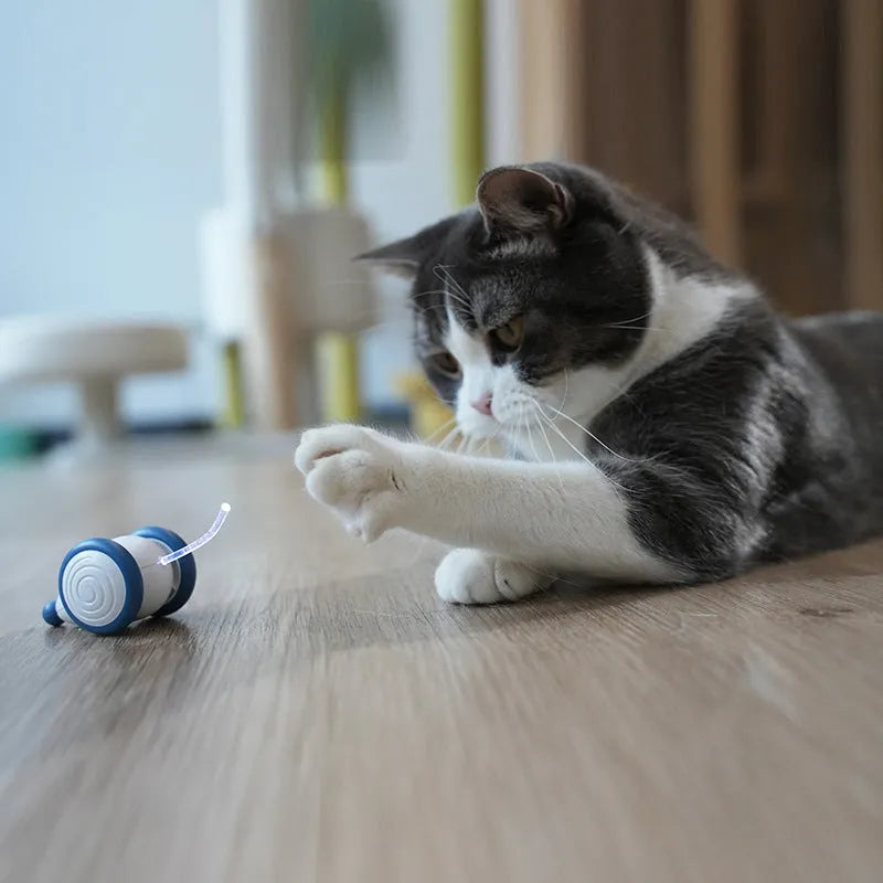 Electric cat mouse toy in blue or yellow, 60x50x36mm, USB rechargeable 135mAh, ABS TPU PVC