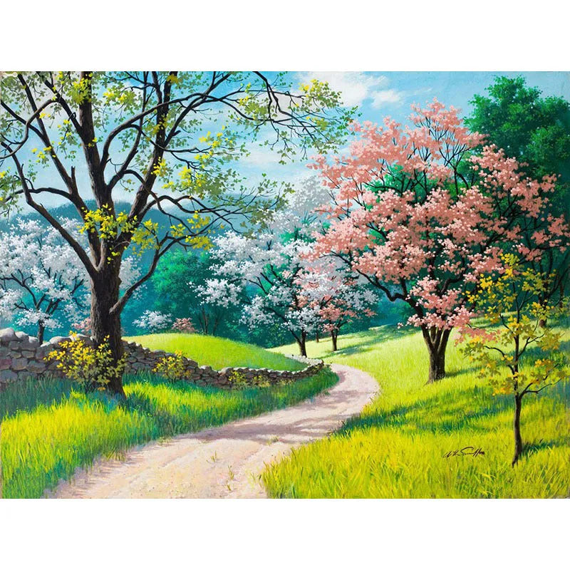 Paint by numbers landscape kit on 40x50cm linen canvas with numbered sections and acrylic paints