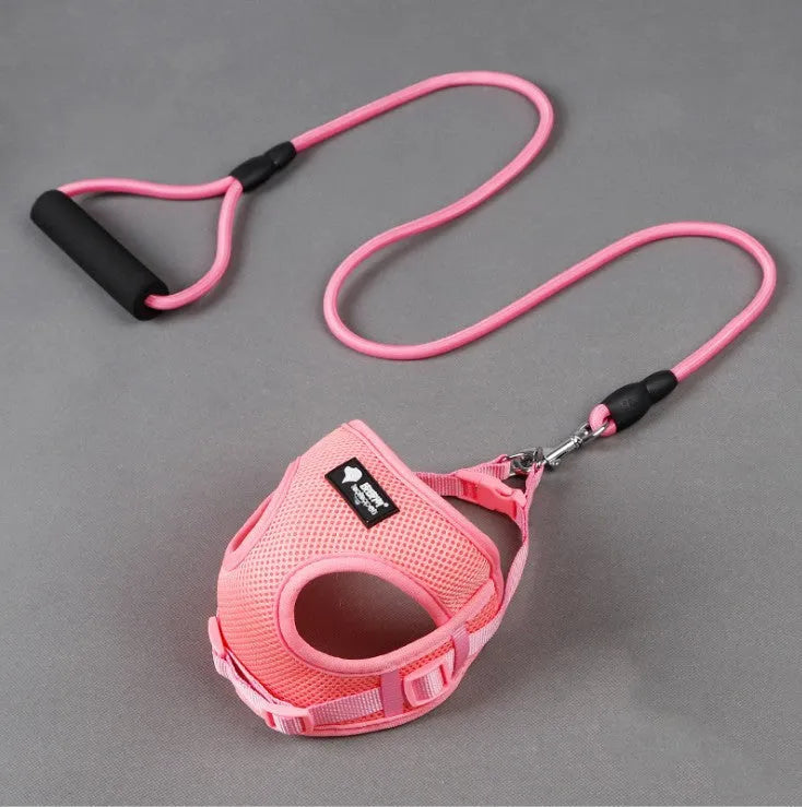 Blue dog leash and collar set with a round rope strap and foam-padded handle.