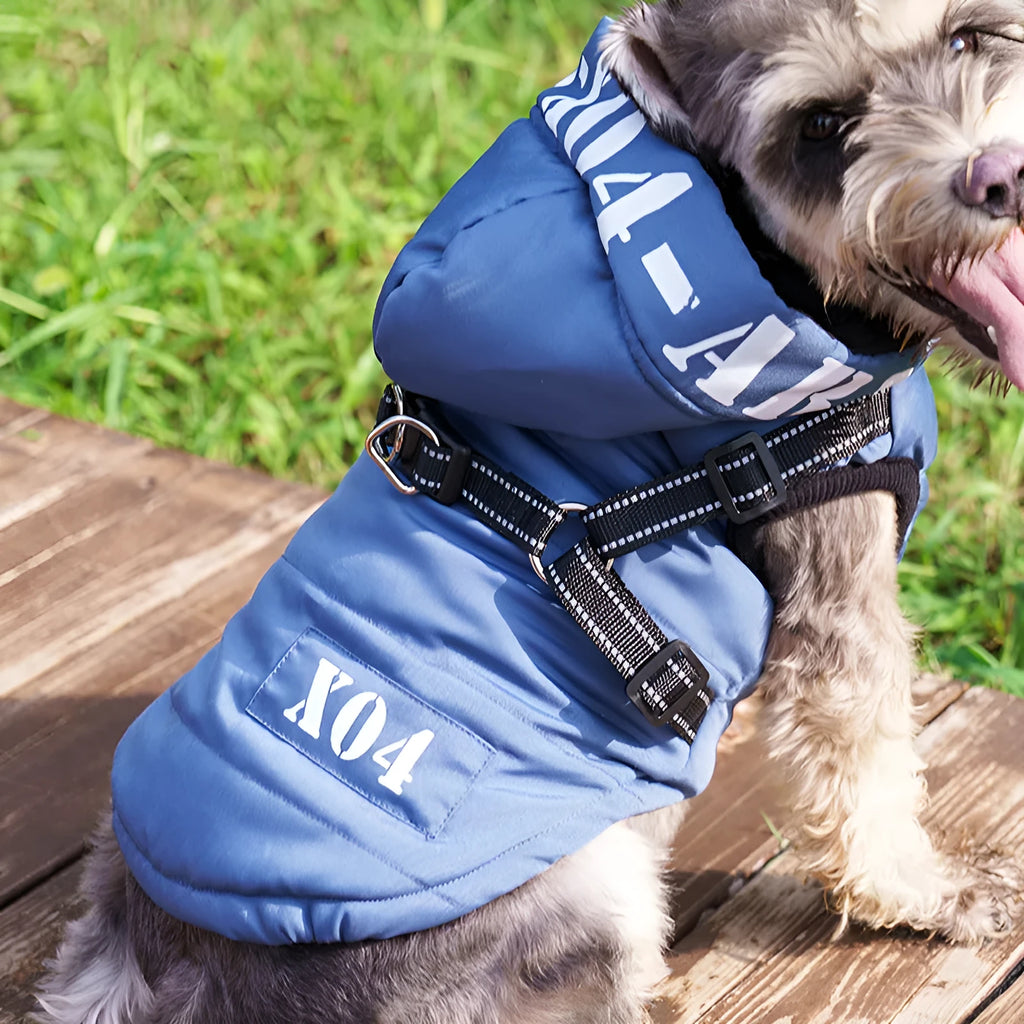 Red fleece-lined waterproof dog coat with hood on a small dog, showing casual style and fit.