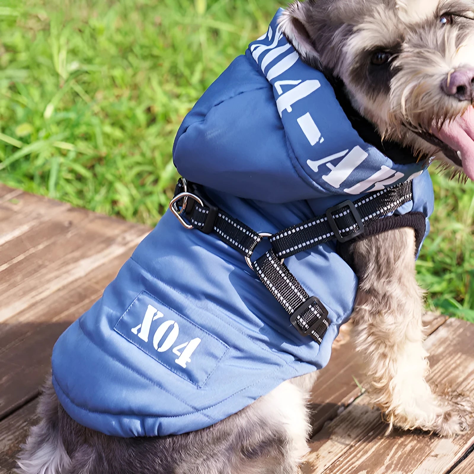 Red fleece-lined waterproof dog coat with hood on a small dog, showing casual style and fit.