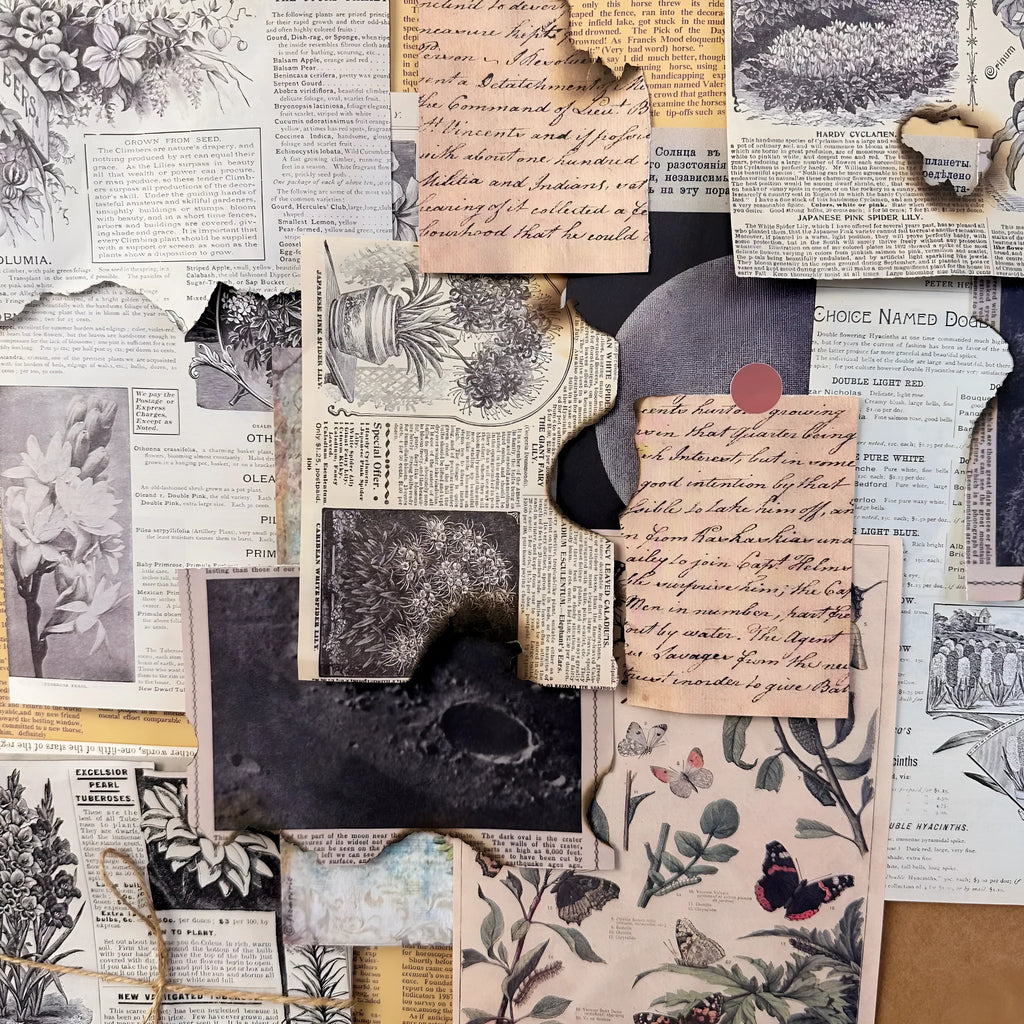 30 pieces of retro-style printed scrapbook paper with nature and music designs.