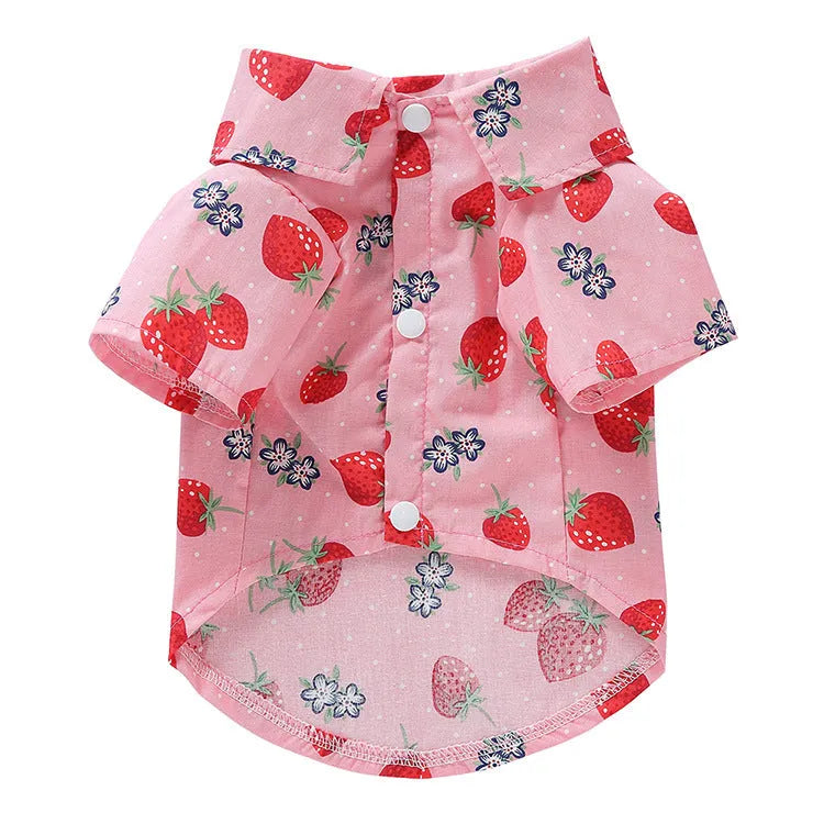 Fruit-themed casual polyester dog clothes in six colours on a small dog, size S to XL available