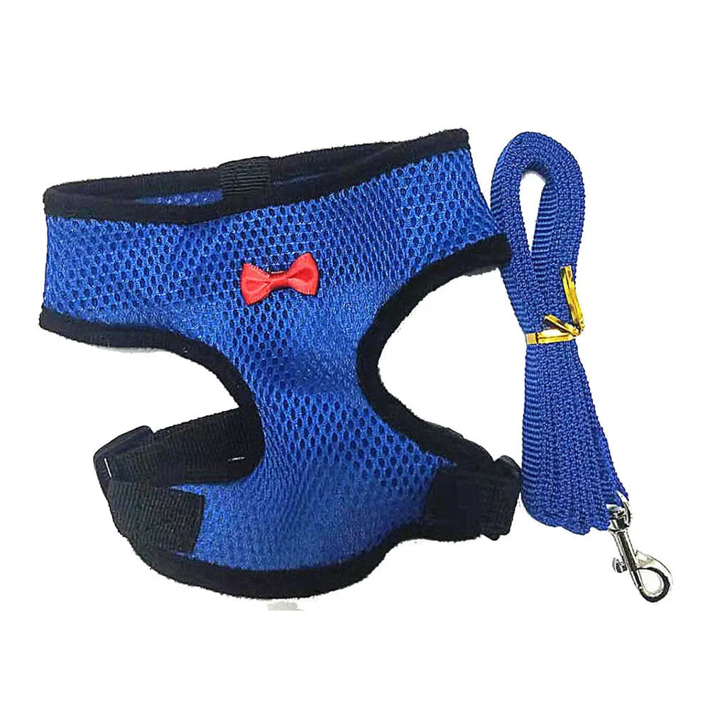 Poultry harness vest set with matching collar and bow tie in multiple colours for chickens and ducks