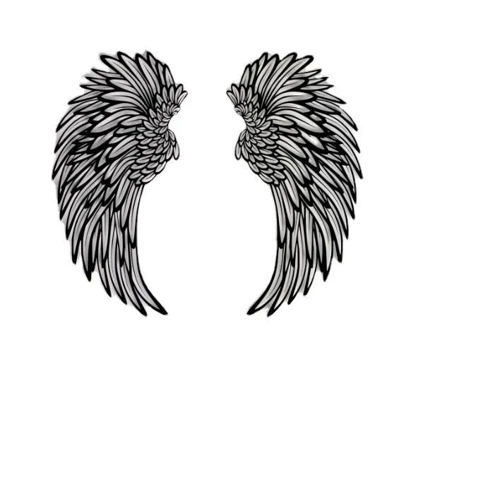 Carved metal angel wings wall decor in iron with double-sided black finish, available with or without light
