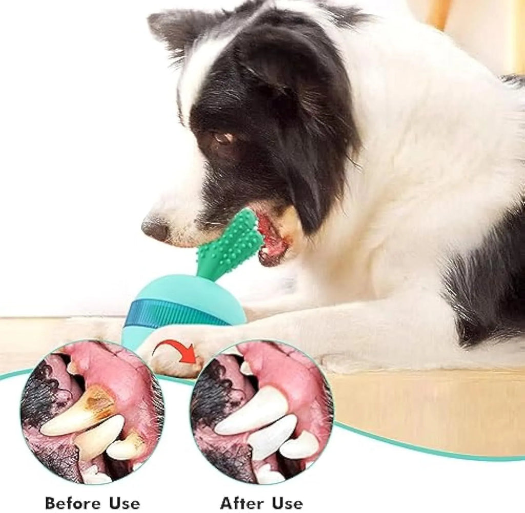 Blue durable rubber treat dispensing dog toy ball with tumbler design for medium large breeds