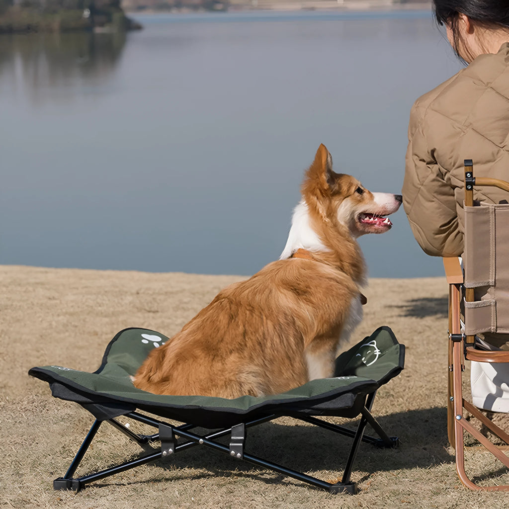 Outdoor pet folding bed with aluminium alloy X-frame and black 600D Oxford cloth sleeping surface