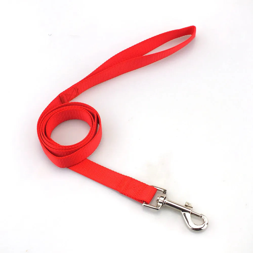 Solid colour polyester dog lead with hand holding loop, shown in blue, red, and black on a white background.