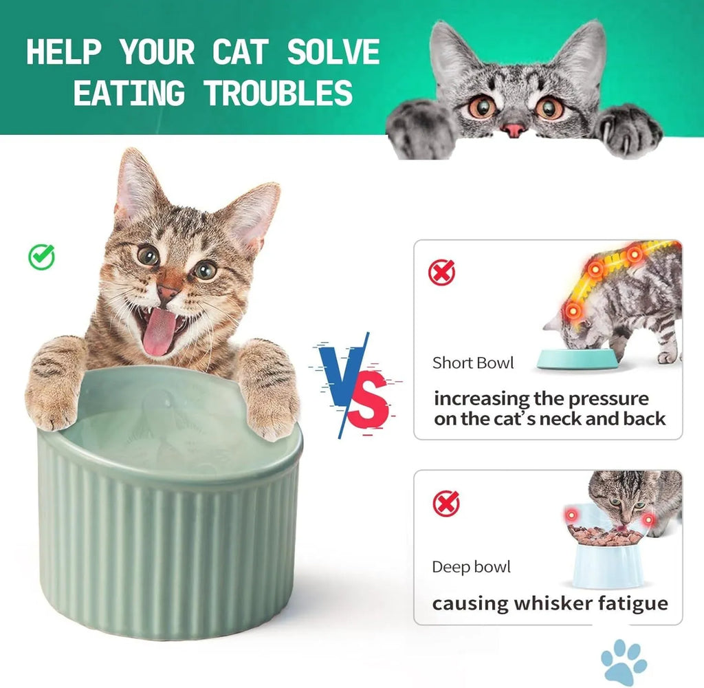 Ceramic elevated cat bowl in green with tilted round shape and raised feeding height