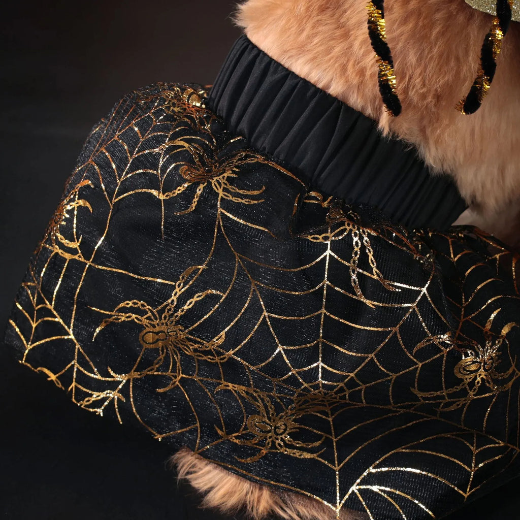 A dog wearing a classic black and white suit-style Halloween costume, showing the full-body design.