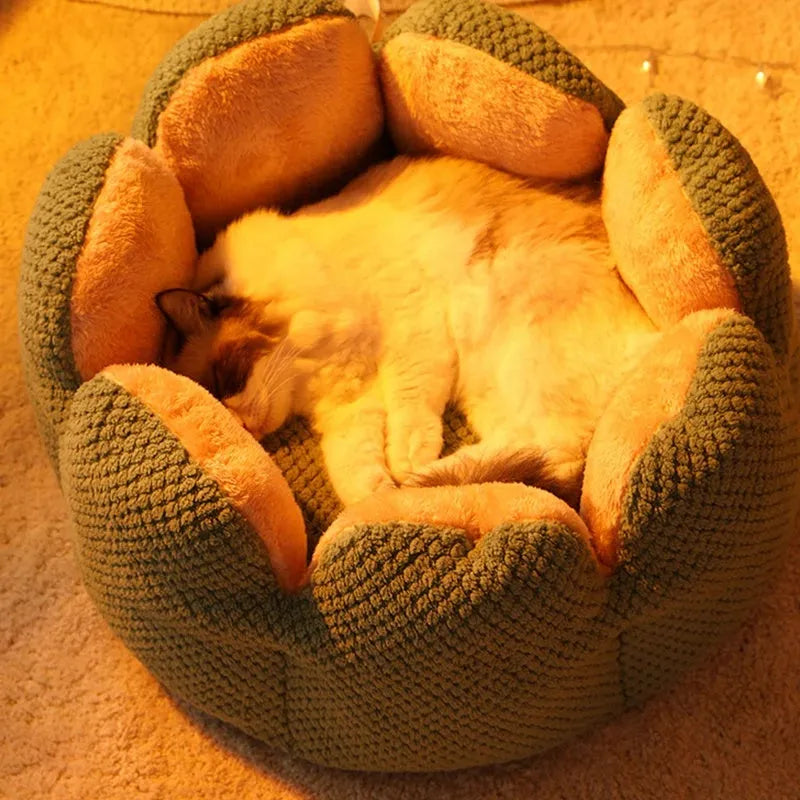 Green cactus petal shaped pet kennel mat with soft plush interior for cats and dogs