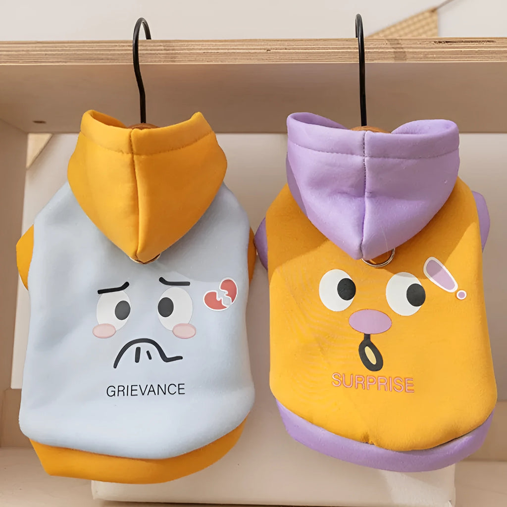 Cute cartoon bear dog hoodie in blue on small teddy bear pet for autumn winter