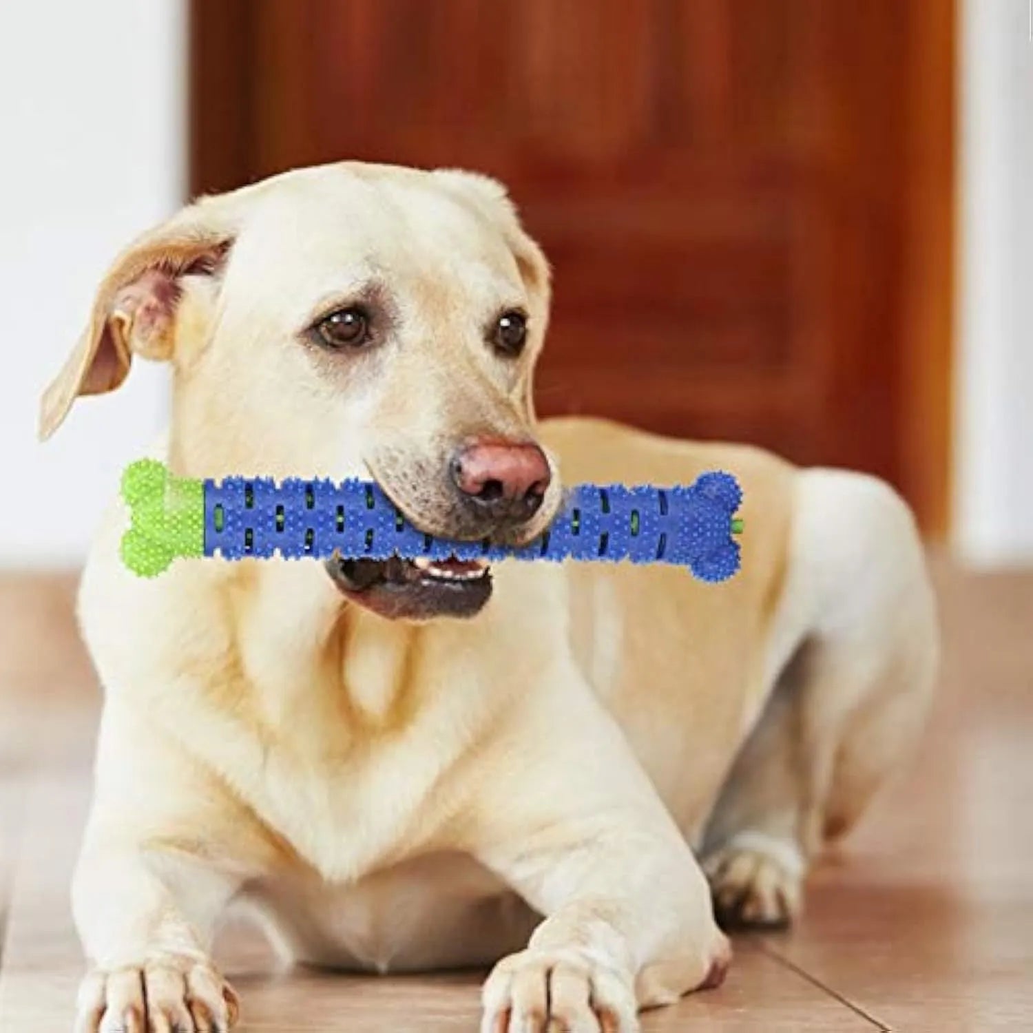 Blue green silicone dog toothbrush cleaning stick with textured surfaces and nodules for gum massage.