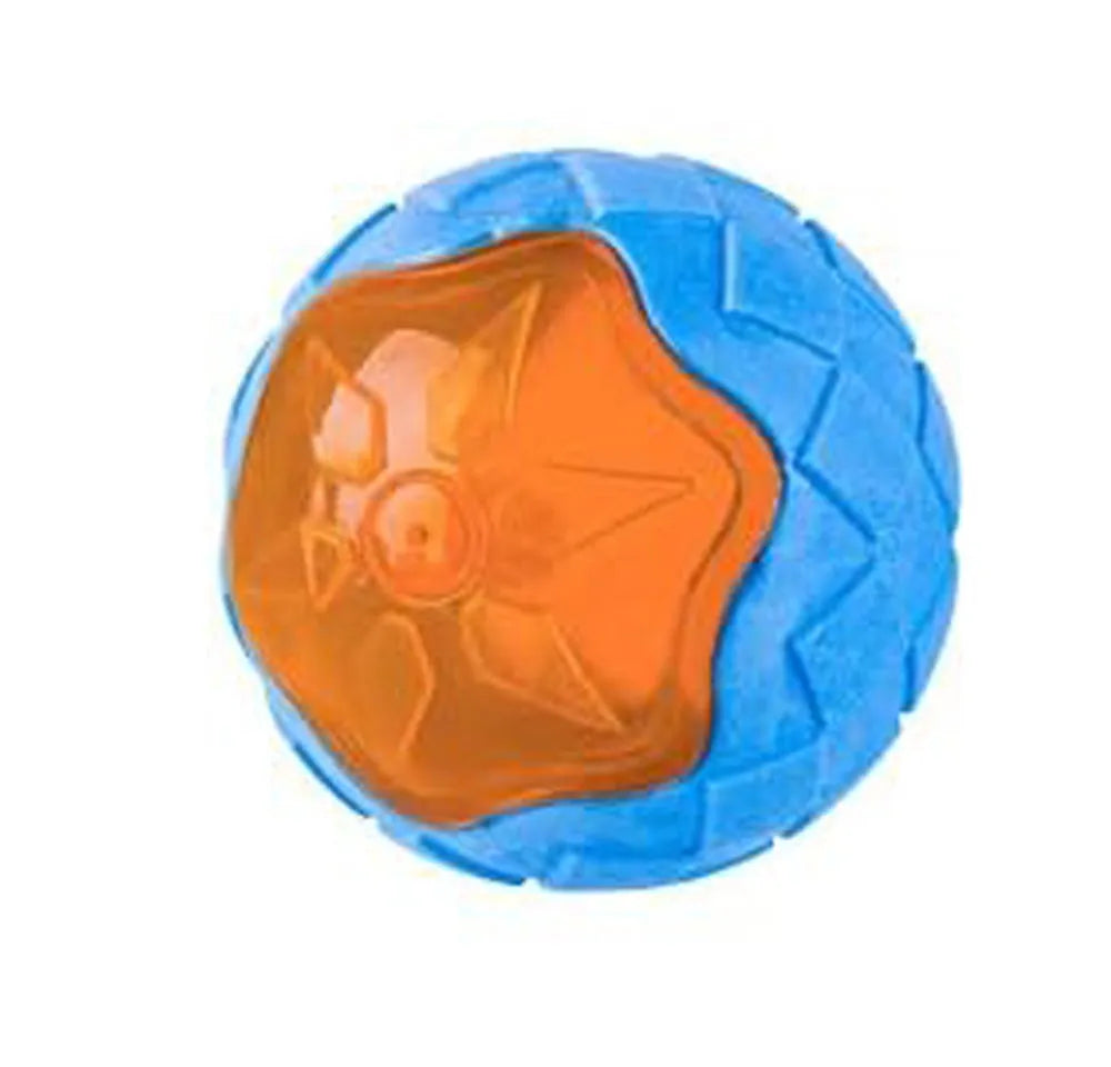 Three floating dog toys: a blue squeaky ball, a red barbell, and an orange tyre on a blue background.