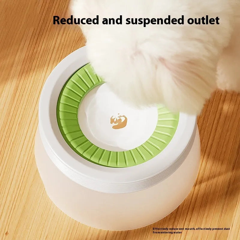 Raised suspension water bowl for pets in blue colour on a white plate