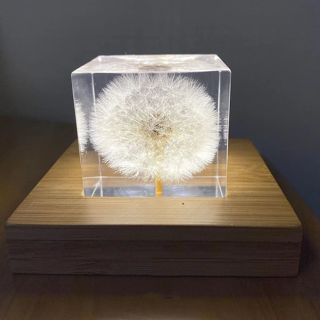 Clear 5cm resin cube with real dandelion inside on wooden box next to USB charging base.